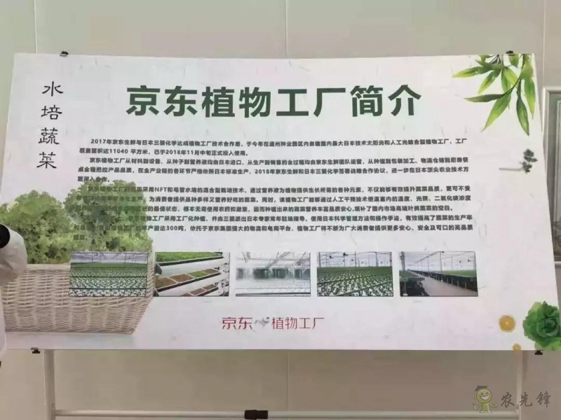 京東的這些“網(wǎng)紅”農(nóng)業(yè)項(xiàng)目，你都知道嗎？