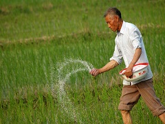 加強(qiáng)生物固氮科技創(chuàng)新，助力耕地資源保護(hù)與耕地質(zhì)量提升