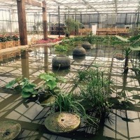 生態溫室餐廳