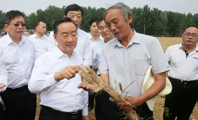 唐仁健部長：今年夏糧再獲豐收！多地機收損耗降低1個百分點以上！