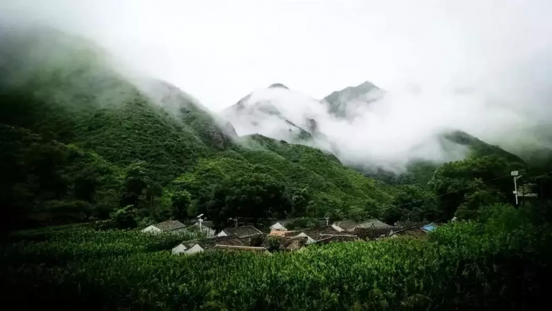 當代中國農(nóng)業(yè)轉(zhuǎn)型技術選擇之爭:化學化？轉(zhuǎn)基因？