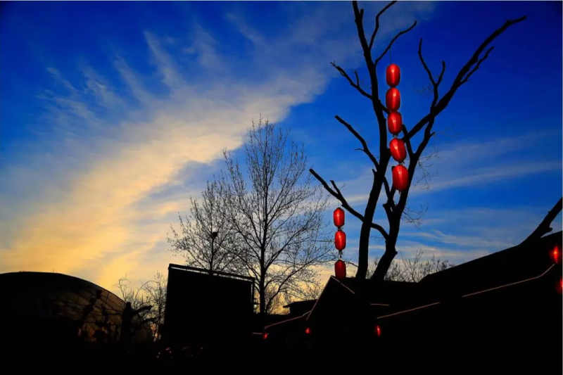 當代中國農(nóng)業(yè)轉(zhuǎn)型技術選擇之爭:化學化？轉(zhuǎn)基因？