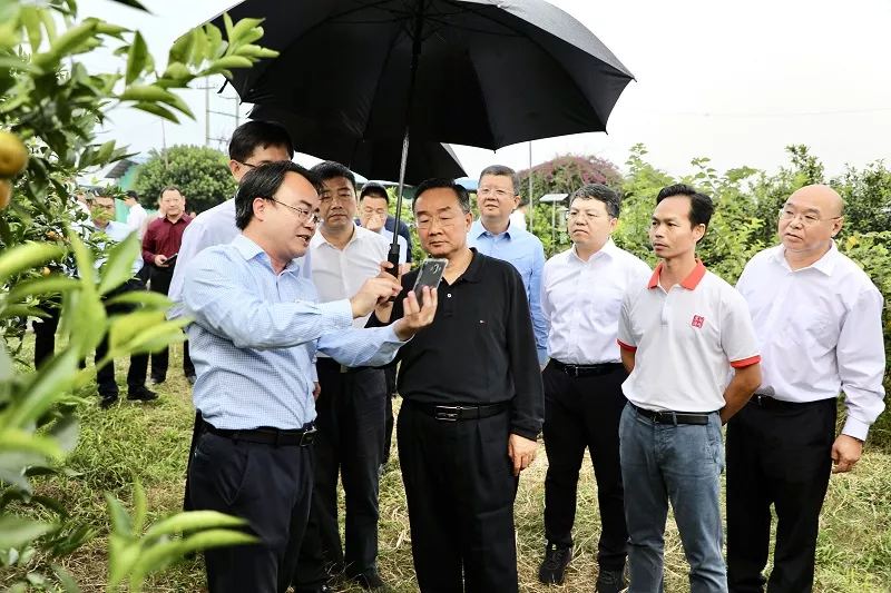 唐仁健：做大做強特色產業，扎實推進鄉村建設