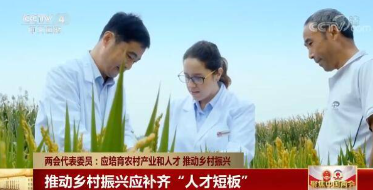 鄉村振興缺人才，加強推進人才走進鄉村