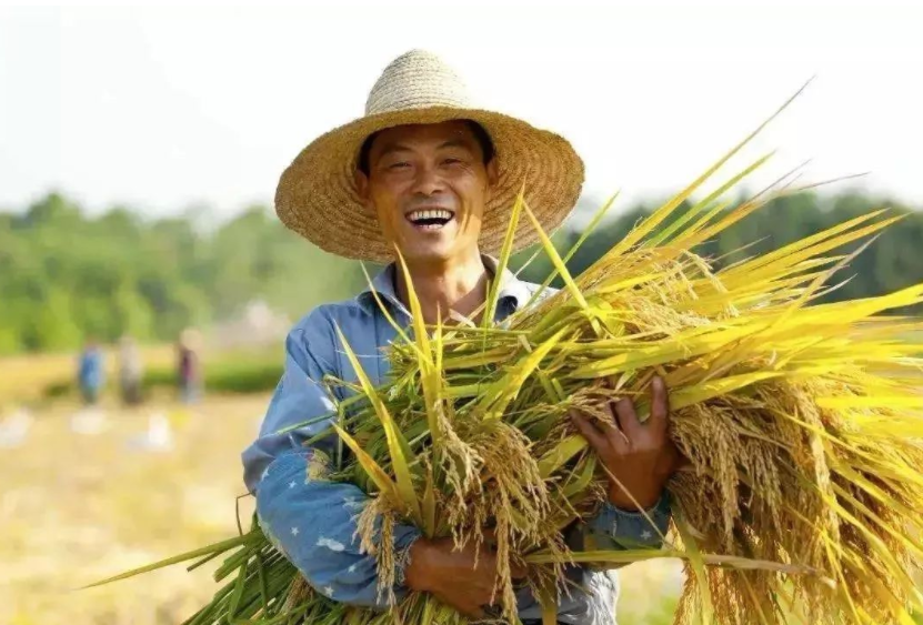 鄉村振興缺人才，加強推進人才走進鄉村