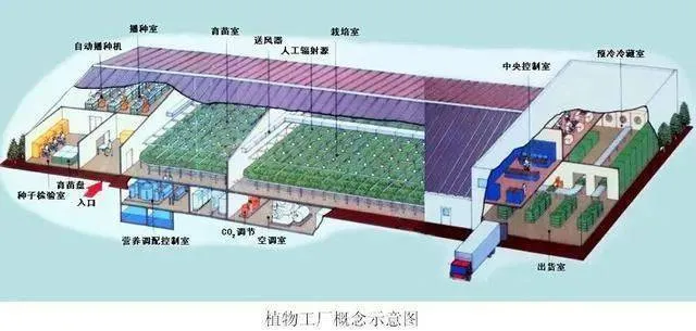 康養(yǎng)農(nóng)業(yè)+植物工廠+智能化，融合協(xié)同發(fā)展