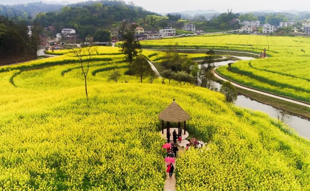 “特色小鎮”接連失敗，農村旅游開發如何做？