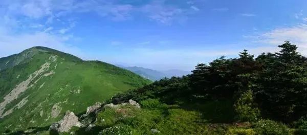 特色產業(yè)與康養(yǎng)旅游融合發(fā)展的柞水路徑