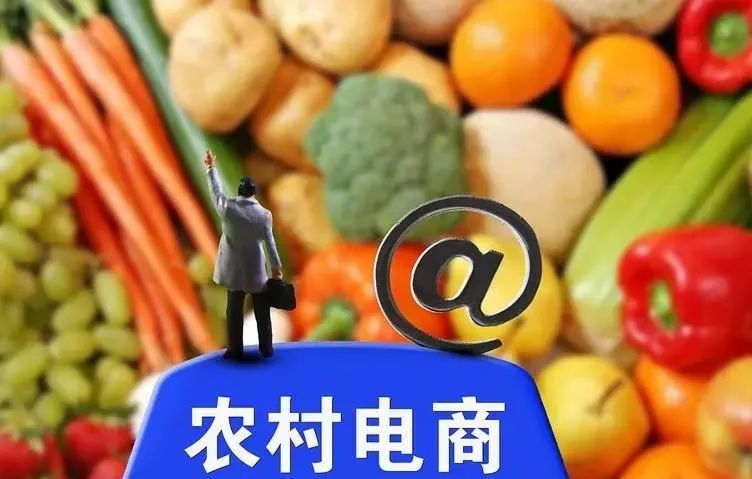 汪向東：農(nóng)村電商發(fā)展五大趨勢和五大特點(diǎn)