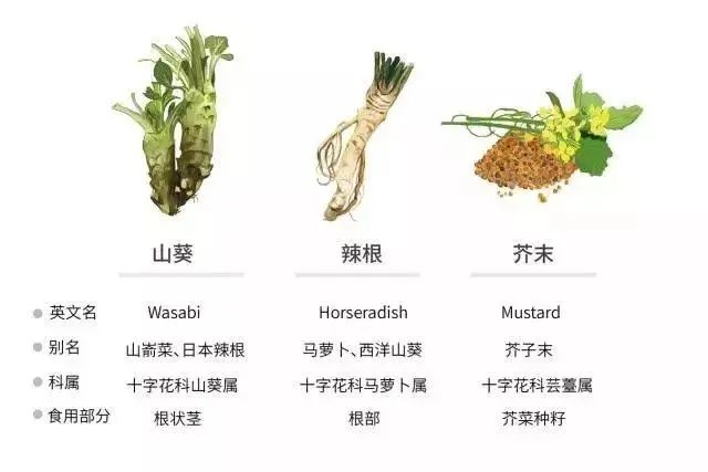 日本百年芥末農(nóng)場(chǎng)：精耕單品，專(zhuān)注美食，以靜制動(dòng)