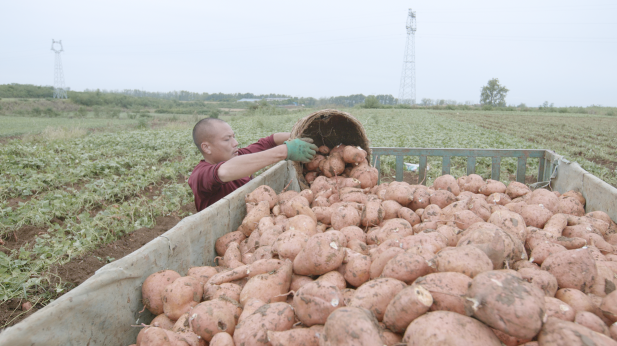 宜城紅薯：新電商怎么“生生造出”一個(gè)新產(chǎn)業(yè)？