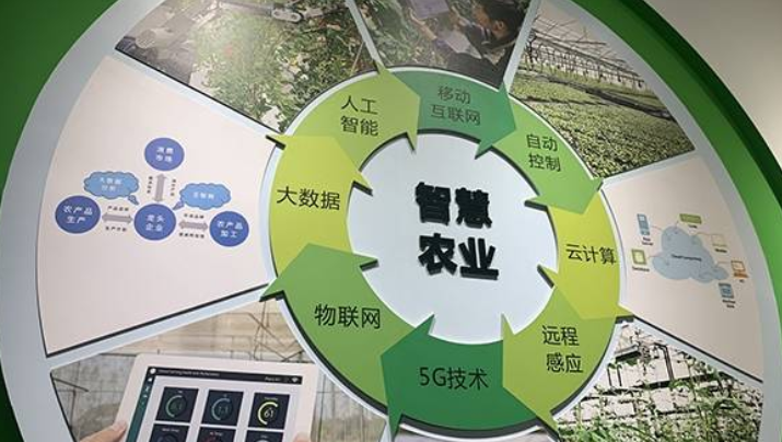基礎(chǔ)設(shè)施薄弱掣肘智慧農(nóng)業(yè) 中國(guó)電信5G云網(wǎng)破難題