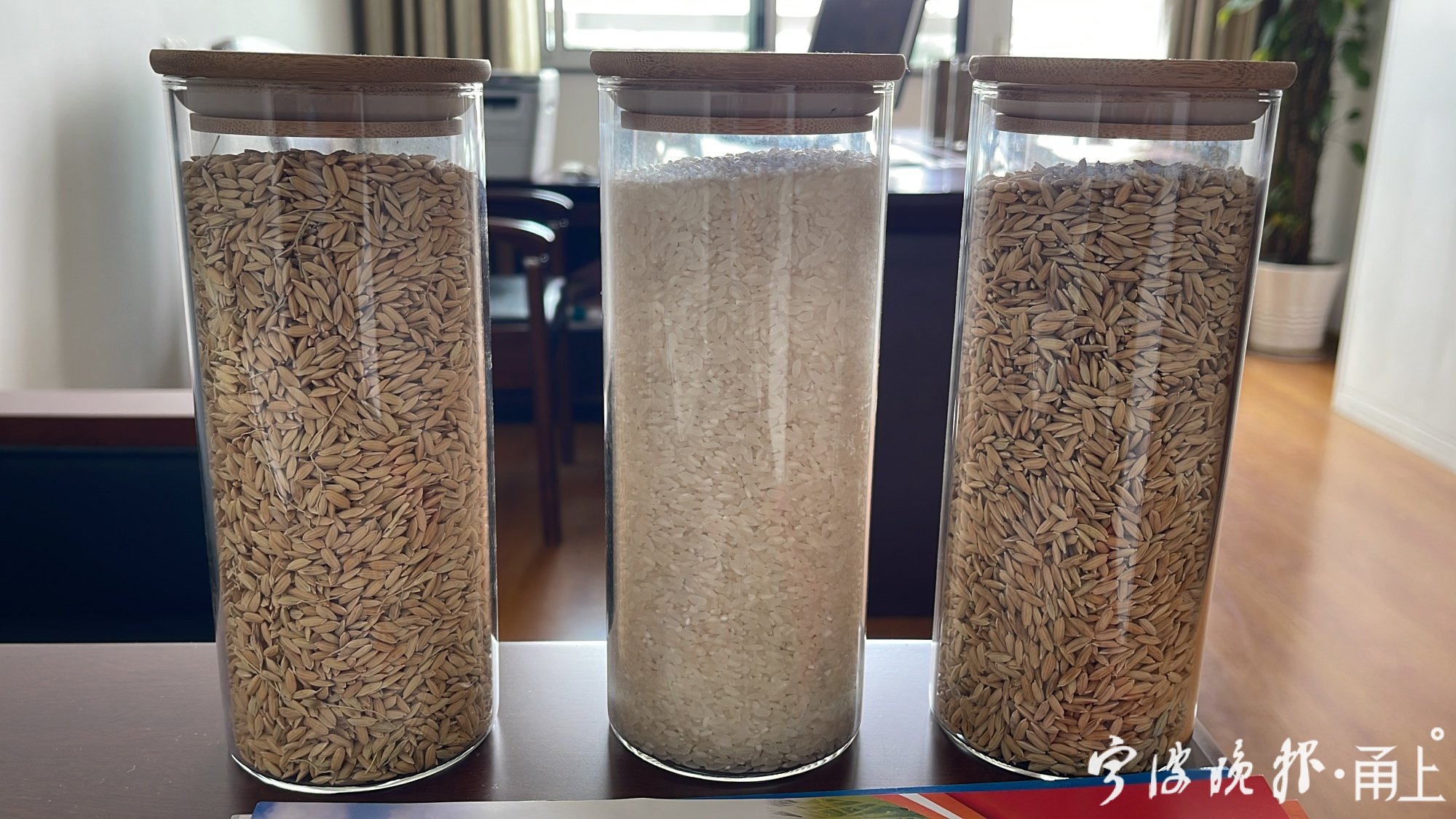 農(nóng)業(yè)農(nóng)村部：兩年來清理“仿種子”問題品種829個