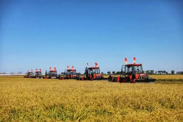 中央一號文件發(fā)布：強(qiáng)化農(nóng)業(yè)科技和裝備支撐