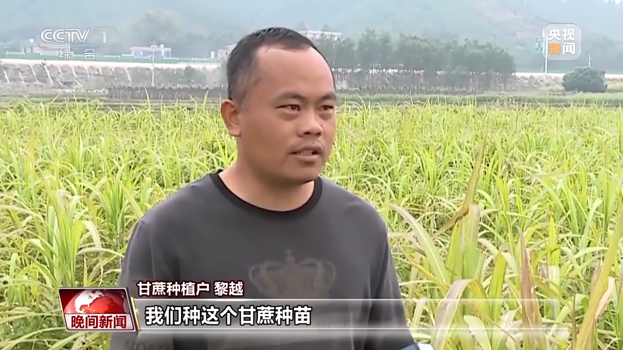 全力備春耕 科學(xué)育種做強農(nóng)業(yè)“芯片”