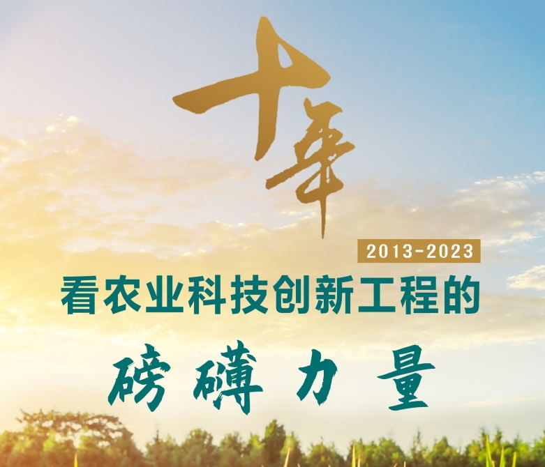 十年，看農業(yè)科技創(chuàng)新工程的磅礴力量